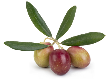 Olives